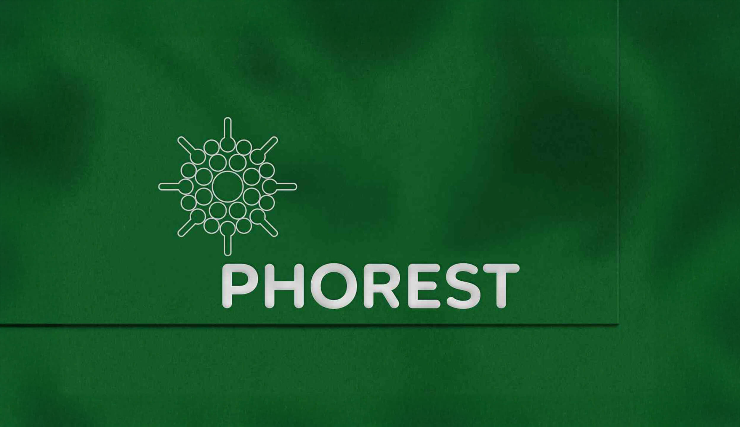 Brand Identity